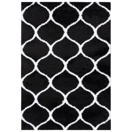 Safavieh 8 x 10 ft. Tahoe Shag Contemporary Rectangle Area Rug; Black & White THO677Z-8